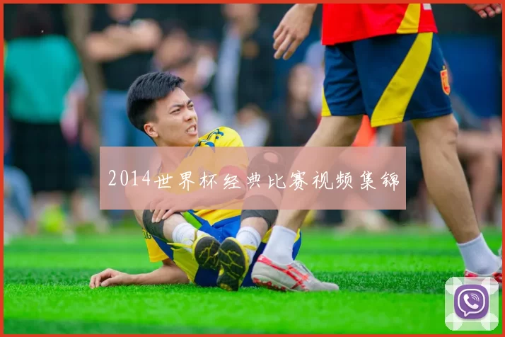 2014世界杯经典比赛视频集锦
