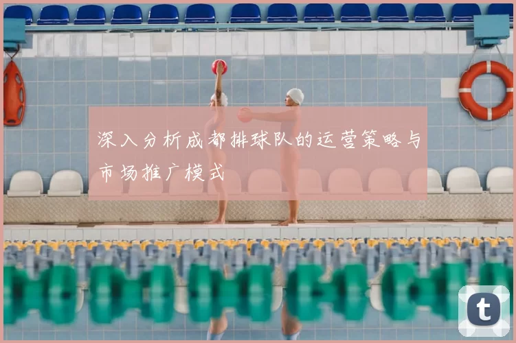 深入分析成都排球队的运营策略与市场推广模式