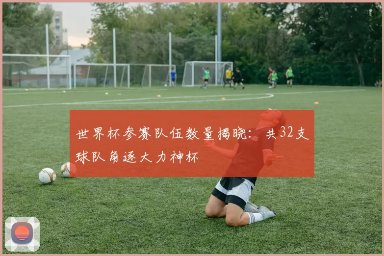 世界杯参赛队伍数量揭晓：共32支球队角逐大力神杯