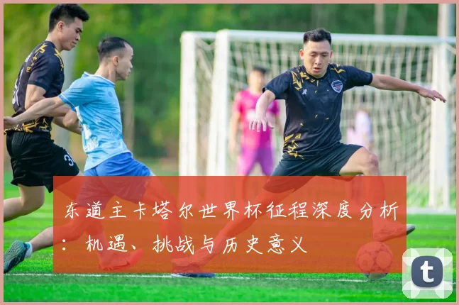 东道主卡塔尔世界杯征程深度分析：机遇、挑战与历史意义