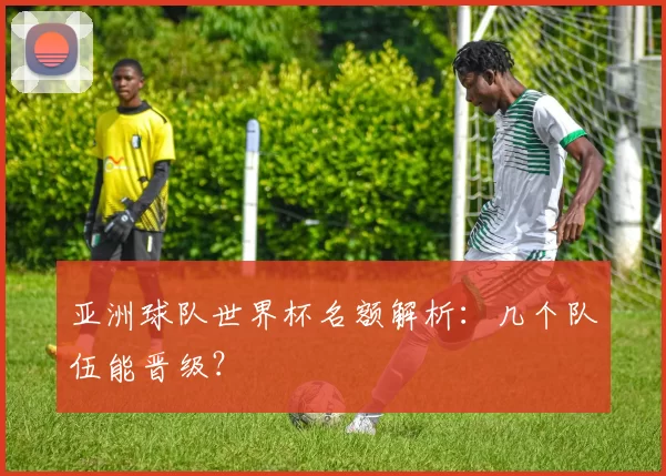 亚洲球队世界杯名额解析：几个队伍能晋级？