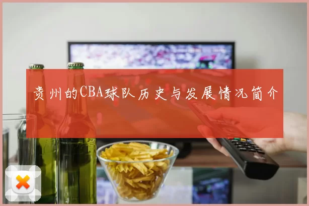 贵州的CBA球队历史与发展情况简介