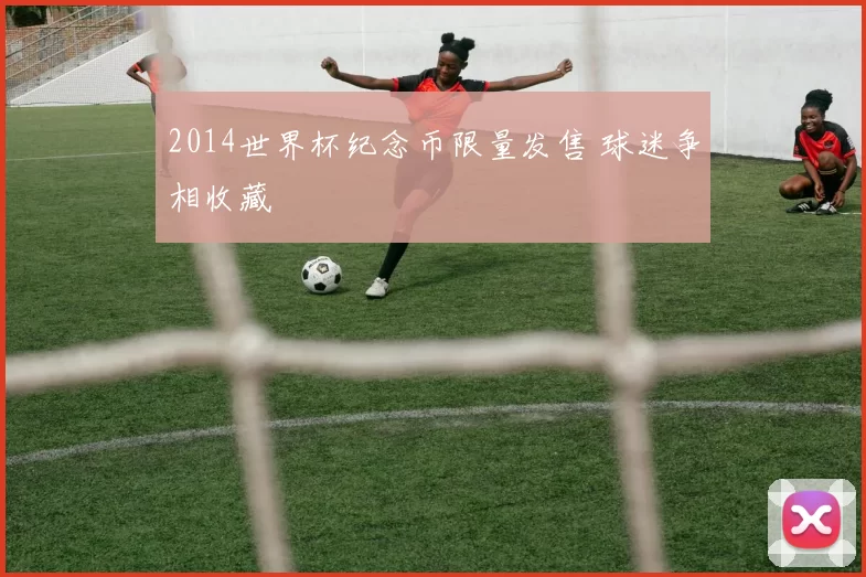 2014世界杯纪念币限量发售 球迷争相收藏