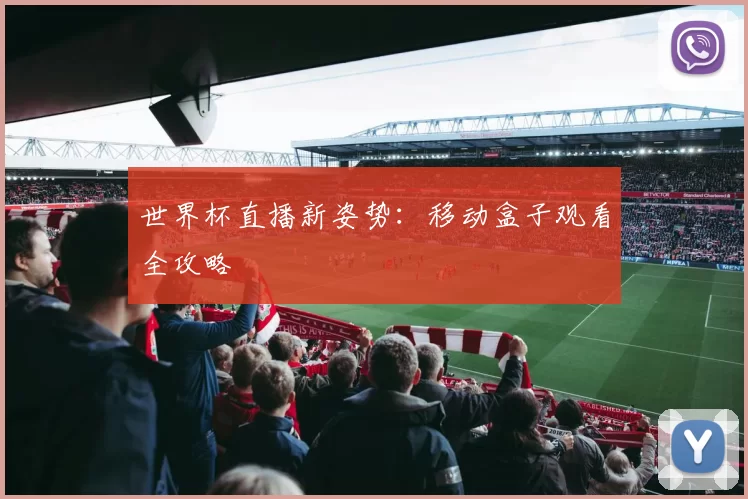 世界杯直播新姿势：移动盒子观看全攻略