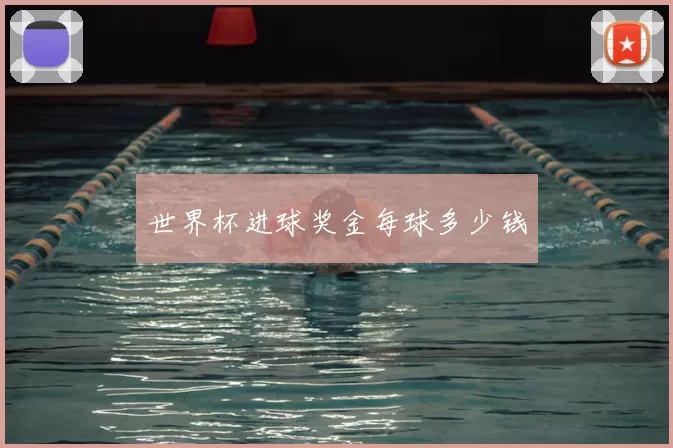世界杯进球奖金每球多少钱