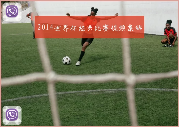 2014世界杯经典比赛视频集锦