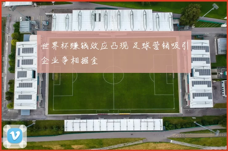 世界杯赚钱效应凸现 足球营销吸引企业争相掘金